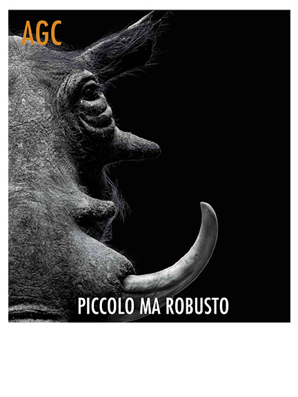 AGC ARMADIO COMPATTO