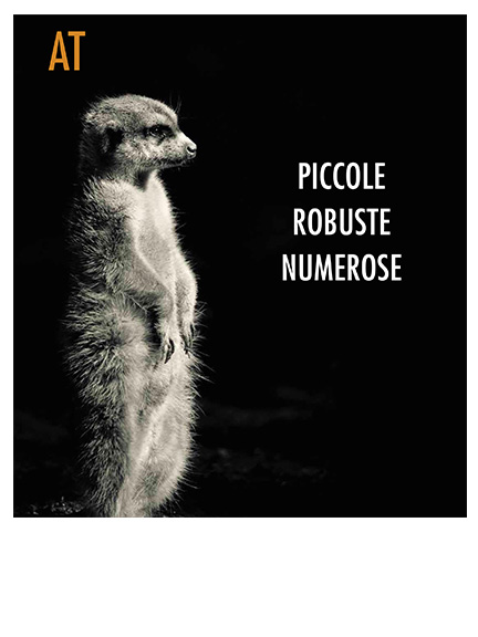 CASSE DI FISSAGGIO A PARETE "AT"